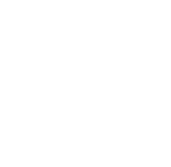 VitaeDev Logo